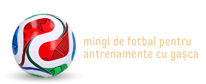 Zilnic: mingi de fotbal pentru antrenamente cu gașca