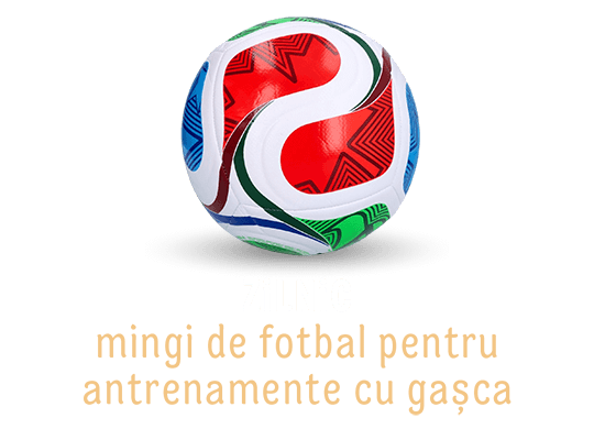 Zilnic: mingi de fotbal pentru antrenamente cu gașca
